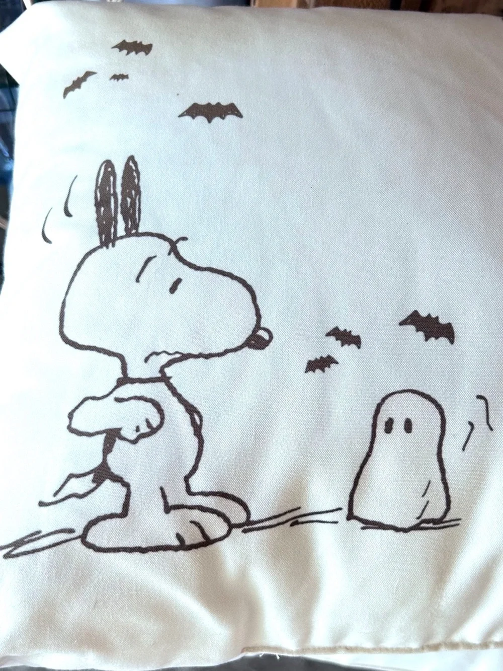 Pottery Barn Peanuts Snoopy Pillows Ghost Bats Set of 2